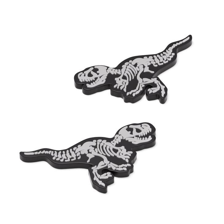 T-Rex Fossil Slide Sandals